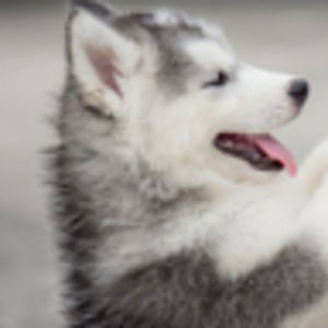 Meet your Posher, Keeley